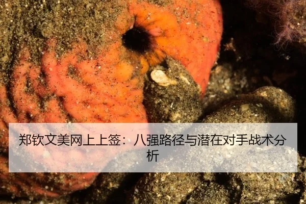zheng-qin-wen-mei-wang-shang-shang-qian-ba-qiang-lu-jing-yu-qian-zai-dui-shou-zhan-shu-fen-xi-3-101.jpg